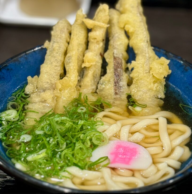 ごぼう天うどん