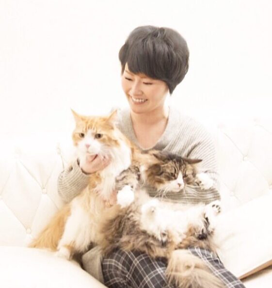 猫