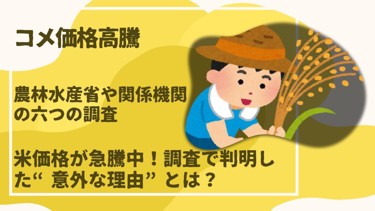 コメ価格高騰調査