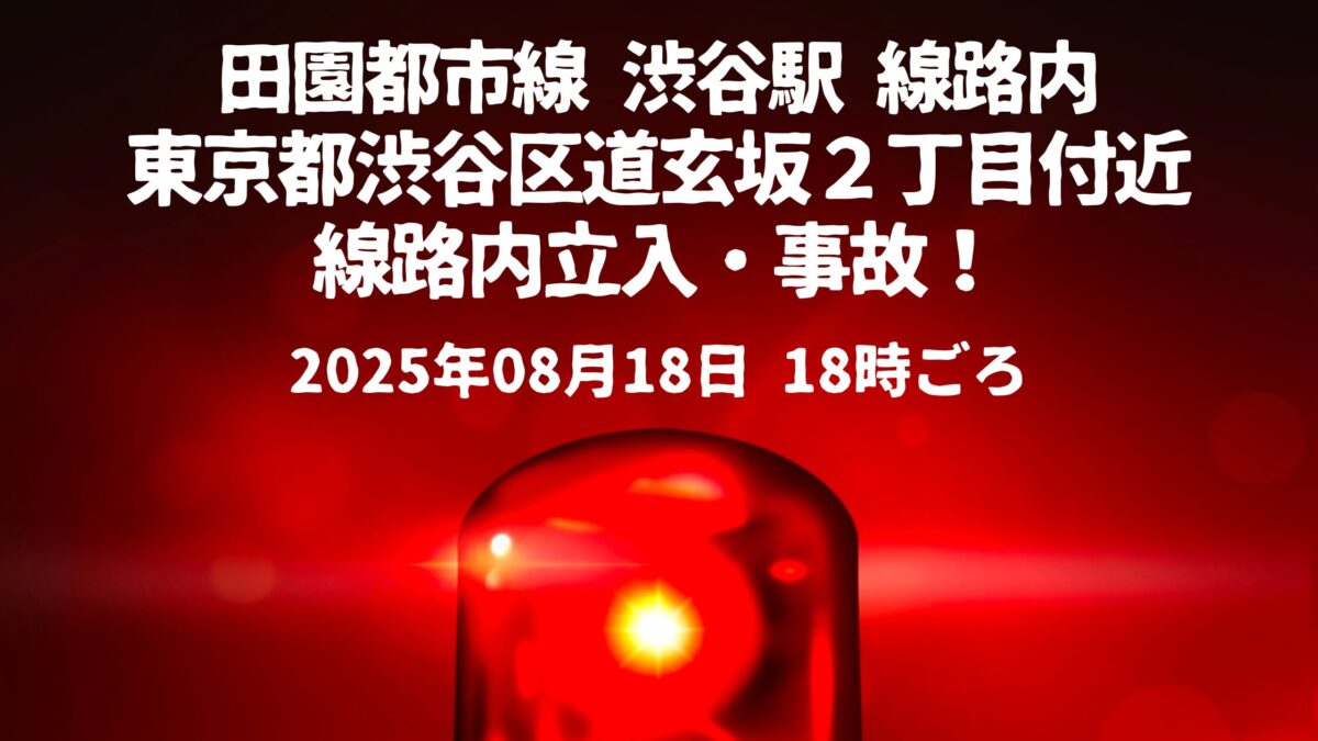 田園都市線 渋谷駅 線路内立入