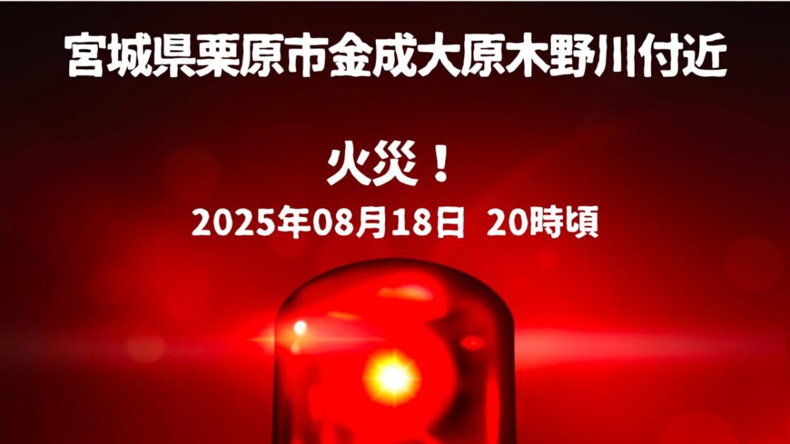 金成大原木野川付近火事
