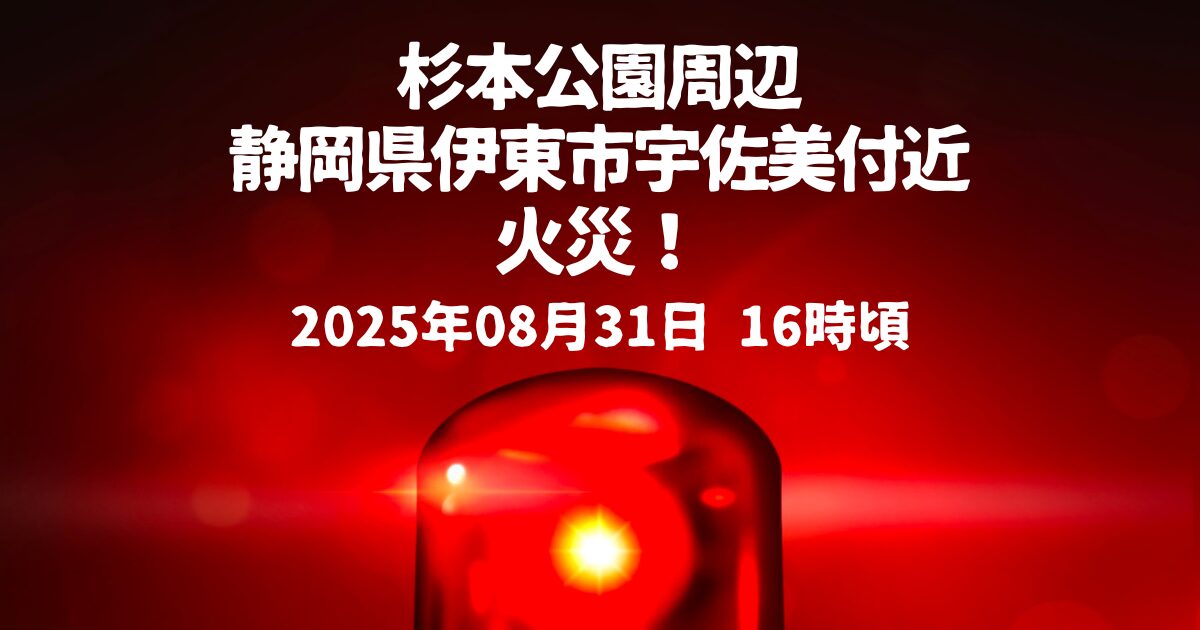 杉本公園周辺火事