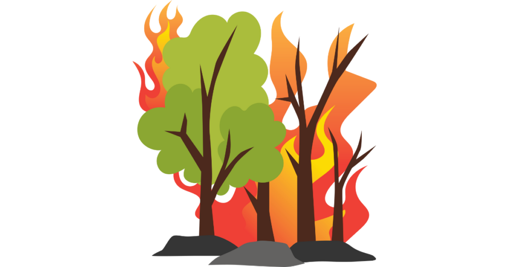 藤岩トンネルの西側 林野火災