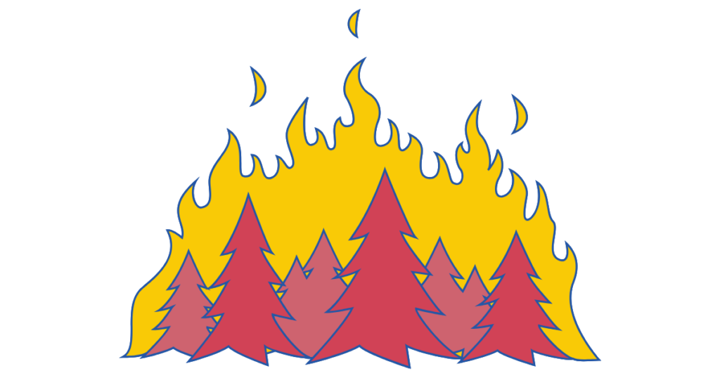 相模川河川敷 神奈川県厚木市金田付近火災