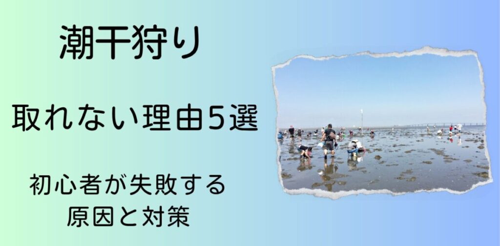 潮干狩り取れない理由